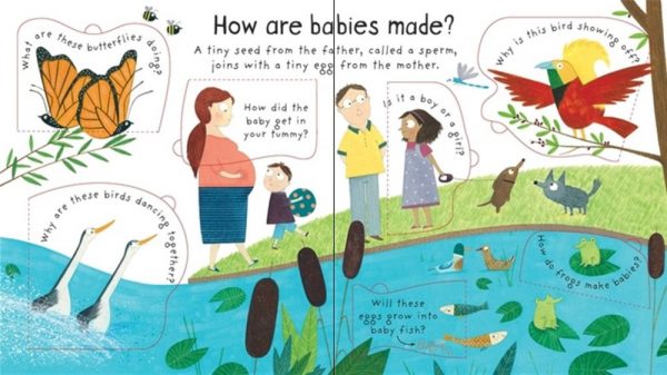 Where do babies come from? - Usborne, reducere, bebelind